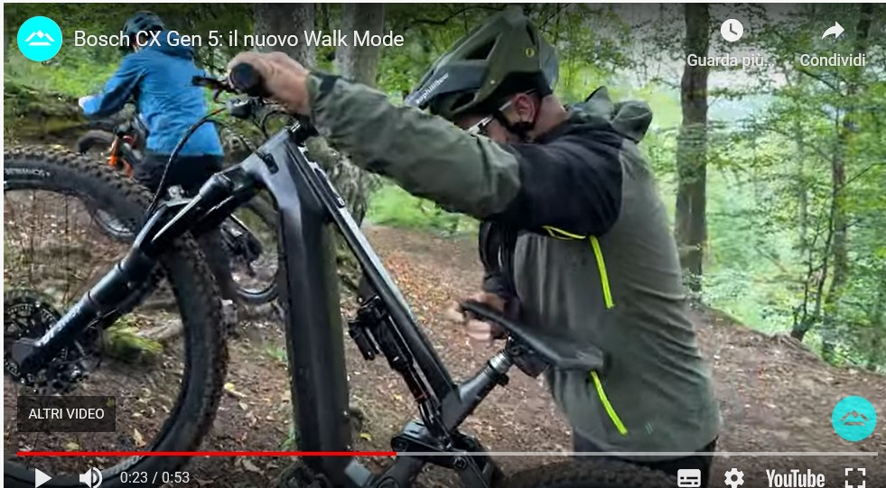 walk assistant ebike
